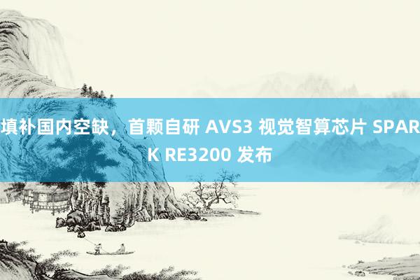 填补国内空缺，首颗自研 AVS3 视觉智算芯片 SPARK RE3200 发布