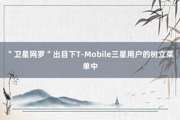 ＂卫星网罗＂出目下T-Mobile三星用户的树立菜单中