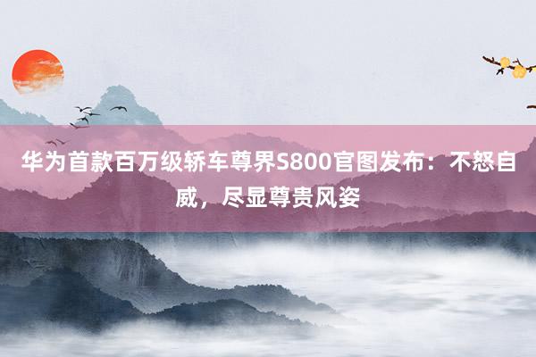 华为首款百万级轿车尊界S800官图发布：不怒自威，尽显尊贵风姿