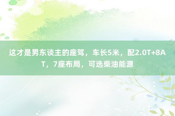 这才是男东谈主的座驾，车长5米，配2.0T+8AT，7座布局，可选柴油能源