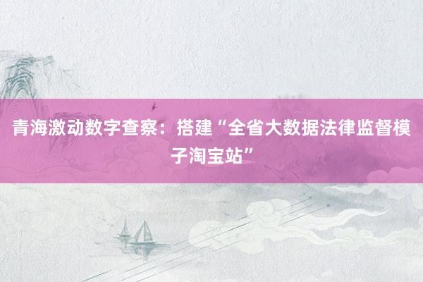 青海激动数字查察：搭建“全省大数据法律监督模子淘宝站”