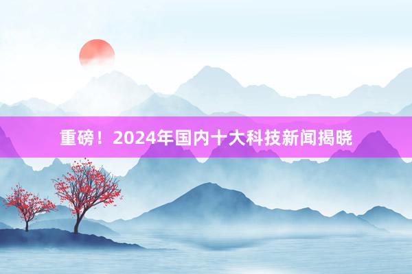 重磅！2024年国内十大科技新闻揭晓