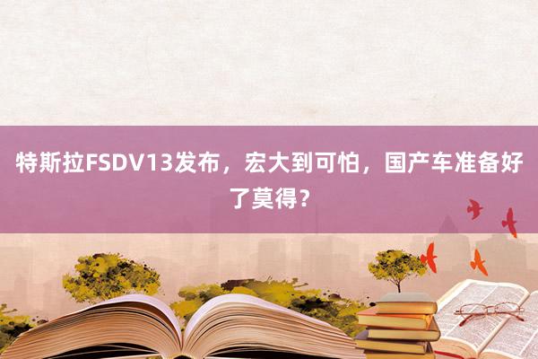 特斯拉FSDV13发布，宏大到可怕，国产车准备好了莫得？