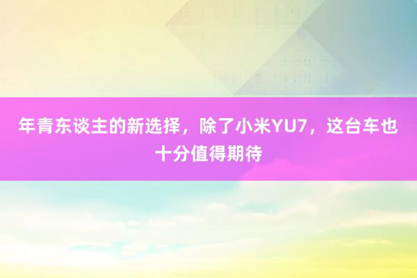 年青东谈主的新选择，除了小米YU7，这台车也十分值得期待