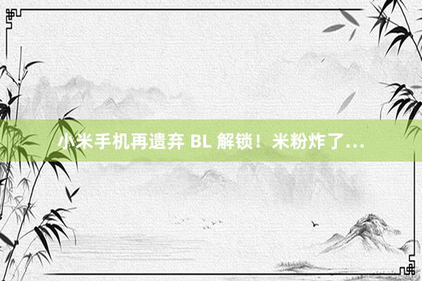 小米手机再遗弃 BL 解锁！米粉炸了…