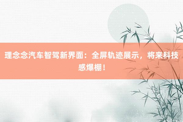 理念念汽车智驾新界面：全屏轨迹展示，将来科技感爆棚！