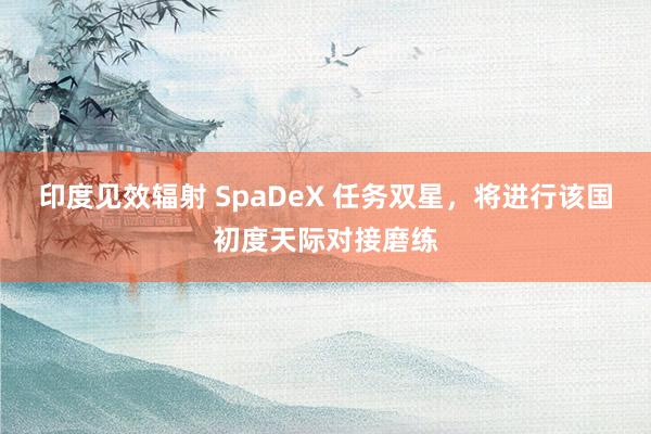 印度见效辐射 SpaDeX 任务双星，将进行该国初度天际对接磨练