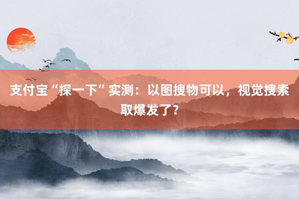 支付宝“探一下”实测：以图搜物可以，视觉搜索取爆发了？