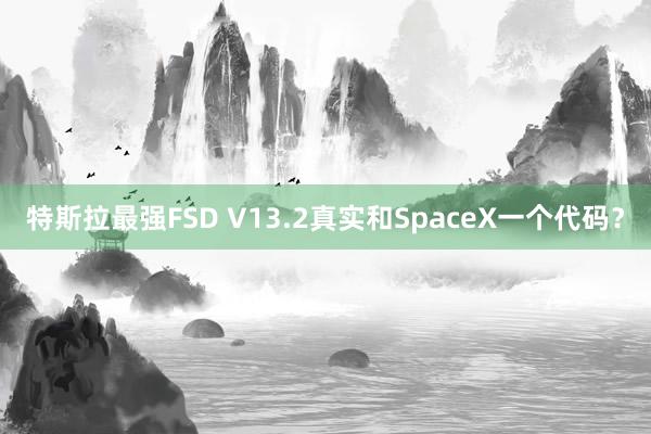 特斯拉最强FSD V13.2真实和SpaceX一个代码？