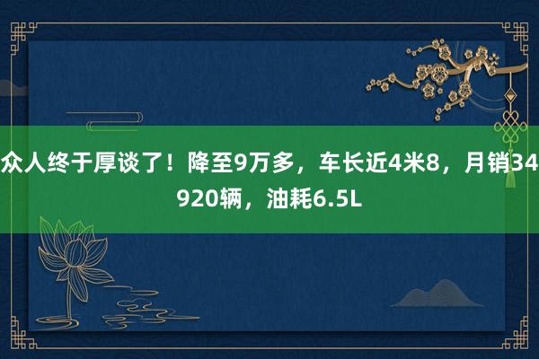 众人终于厚谈了！降至9万多，车长近4米8，月销34920辆，油耗6.5L