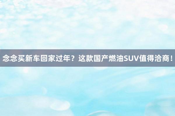 念念买新车回家过年？这款国产燃油SUV值得洽商！