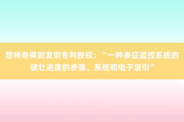 想特奇得到发明专利授权：“一种表征监控系统的健壮进度的步骤、系统和电子汲引”