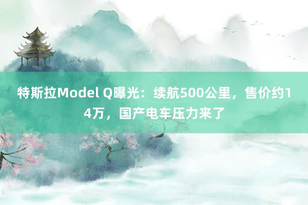 特斯拉Model Q曝光：续航500公里，售价约14万，国产电车压力来了