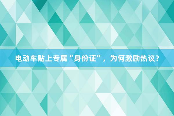 电动车贴上专属“身份证”，为何激励热议？