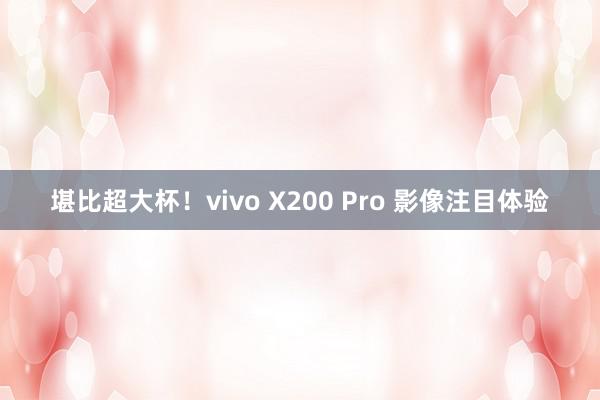 堪比超大杯！vivo X200 Pro 影像注目体验