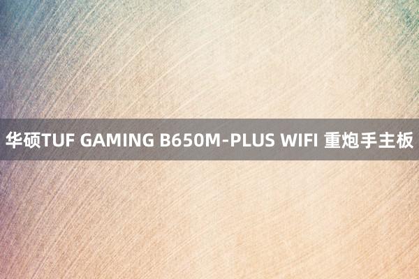 华硕TUF GAMING B650M-PLUS WIFI 重炮手主板