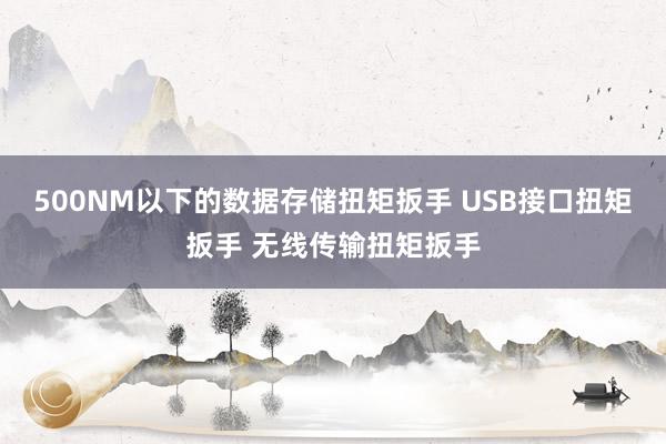 500NM以下的数据存储扭矩扳手 USB接口扭矩扳手 无线传输扭矩扳手