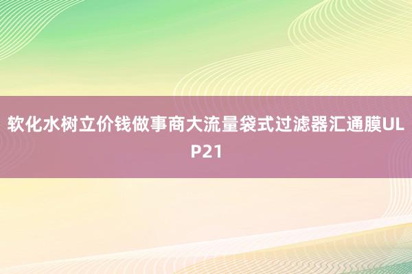 软化水树立价钱做事商大流量袋式过滤器汇通膜ULP21