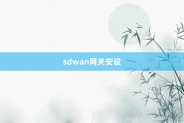 sdwan网关安设