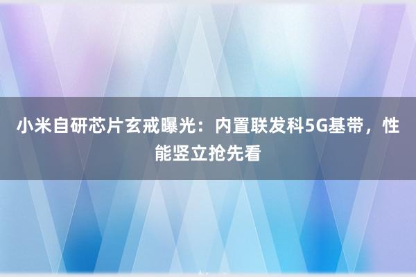 小米自研芯片玄戒曝光：内置联发科5G基带，性能竖立抢先看