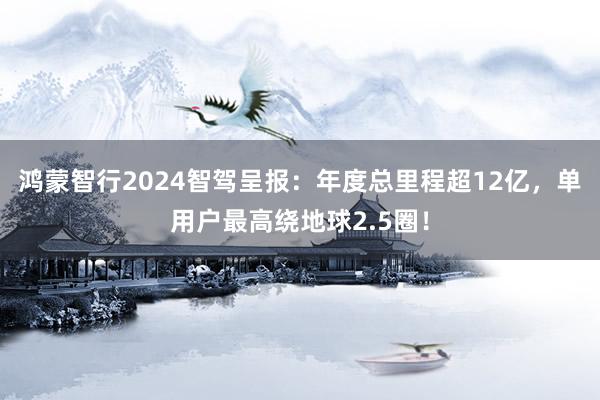 鸿蒙智行2024智驾呈报：年度总里程超12亿，单用户最高绕地球2.5圈！