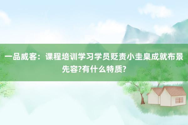 一品威客：课程培训学习学员贬责小圭臬成就布景先容?有什么特质?