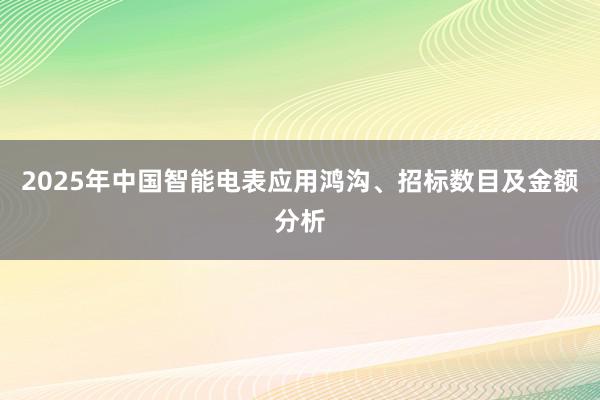 2025年中国智能电表应用鸿沟、招标数目及金额分析