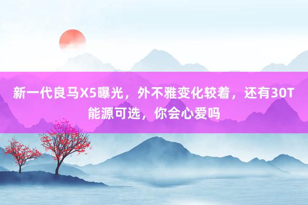 新一代良马X5曝光，外不雅变化较着，还有30T能源可选，你会心爱吗