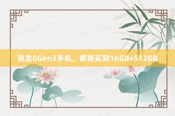 骁龙8Gen3手机，都能买到16GB+512GB