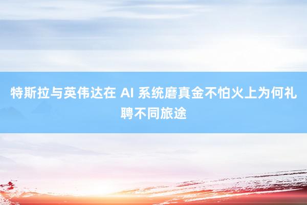 特斯拉与英伟达在 AI 系统磨真金不怕火上为何礼聘不同旅途