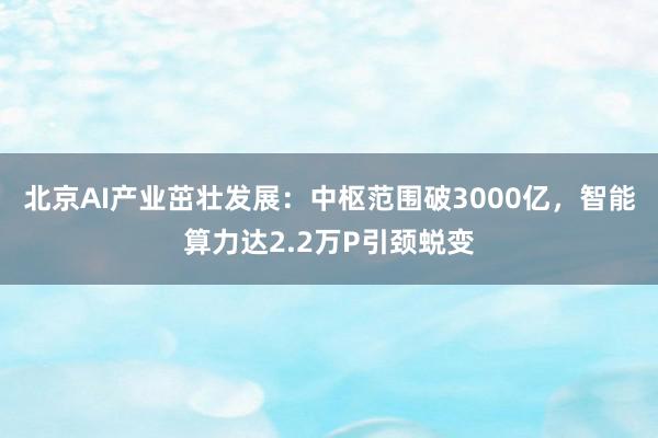 北京AI产业茁壮发展：中枢范围破3000亿，智能算力达2.2万P引颈蜕变