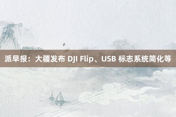 派早报：大疆发布 DJI Flip、USB 标志系统简化等