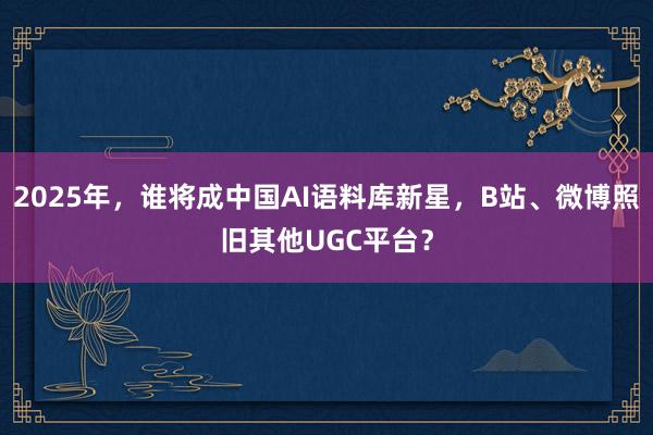 2025年，谁将成中国AI语料库新星，B站、微博照旧其他UGC平台？