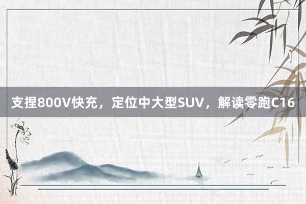 支捏800V快充，定位中大型SUV，解读零跑C16