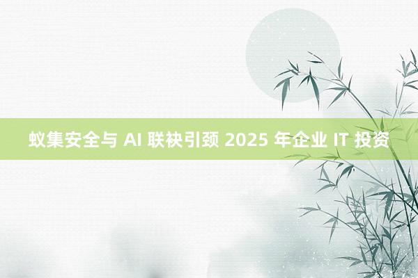 蚁集安全与 AI 联袂引颈 2025 年企业 IT 投资