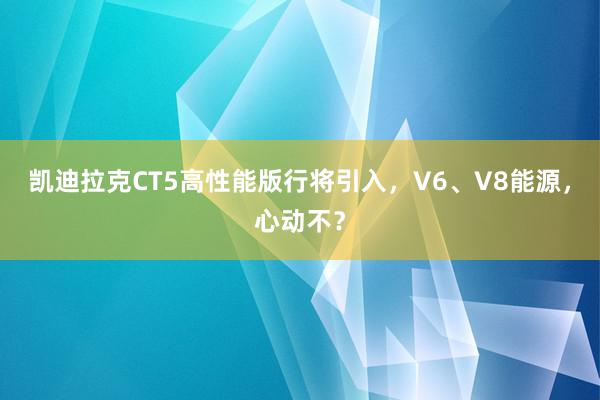 凯迪拉克CT5高性能版行将引入，V6、V8能源，心动不？