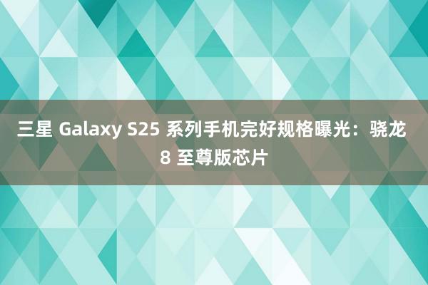 三星 Galaxy S25 系列手机完好规格曝光：骁龙 8 至尊版芯片