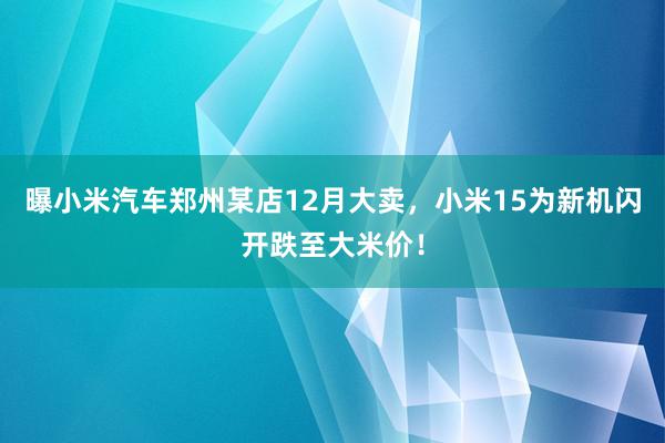 曝小米汽车郑州某店12月大卖，小米15为新机闪开跌至大米价！