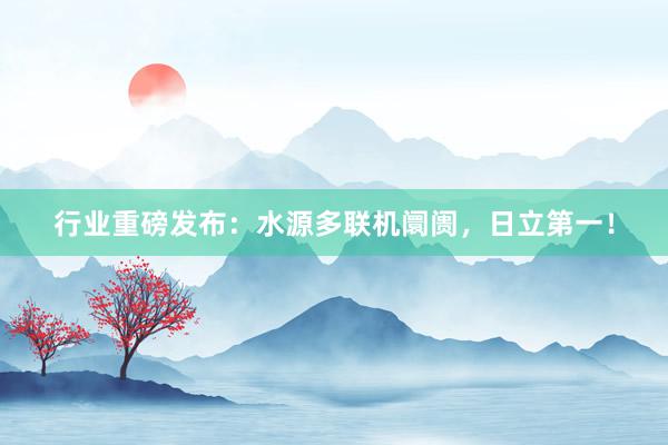 行业重磅发布：水源多联机阛阓，日立第一！