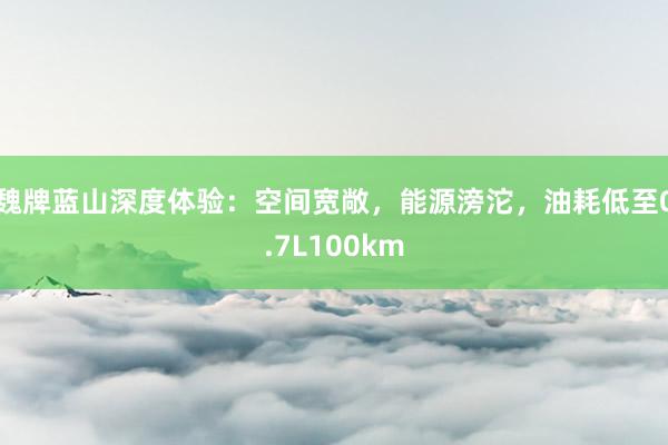 魏牌蓝山深度体验：空间宽敞，能源滂沱，油耗低至0.7L100km