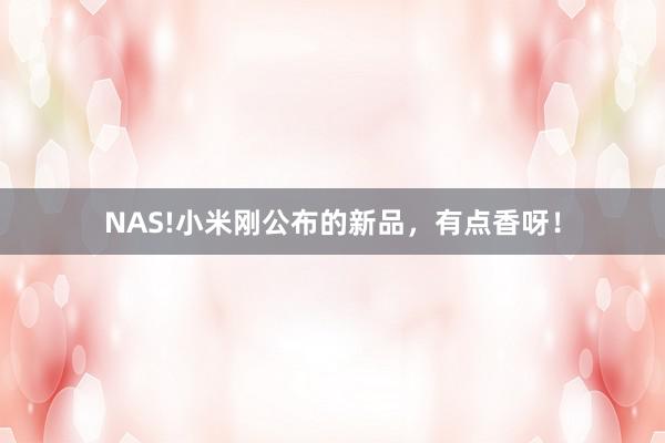 NAS!小米刚公布的新品，有点香呀！