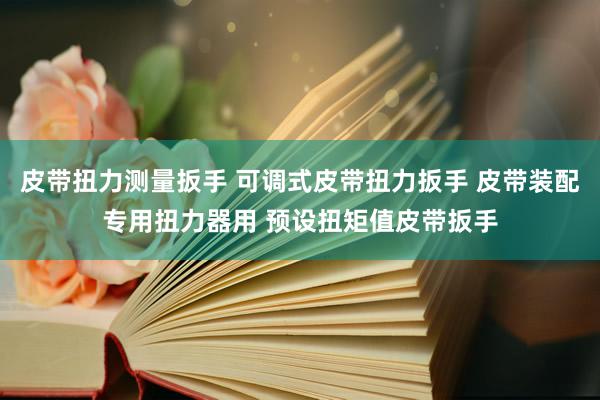 皮带扭力测量扳手 可调式皮带扭力扳手 皮带装配专用扭力器用 预设扭矩值皮带扳手