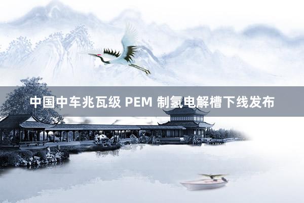 中国中车兆瓦级 PEM 制氢电解槽下线发布