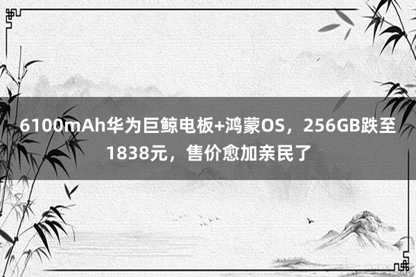 6100mAh华为巨鲸电板+鸿蒙OS，256GB跌至1838元，售价愈加亲民了