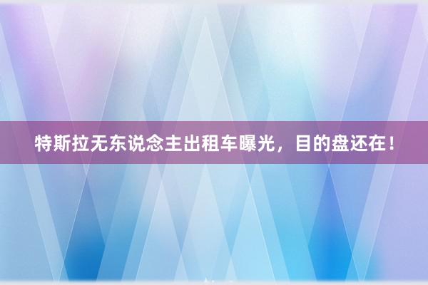 特斯拉无东说念主出租车曝光，目的盘还在！