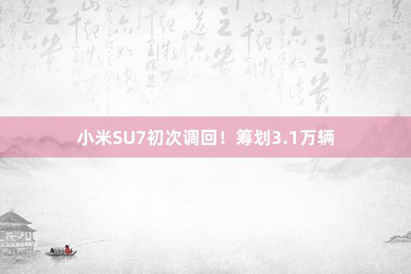 小米SU7初次调回！筹划3.1万辆