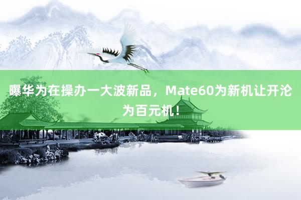 曝华为在操办一大波新品，Mate60为新机让开沦为百元机！