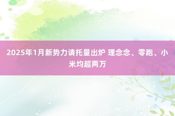 2025年1月新势力请托量出炉 理念念、零跑、小米均超两万