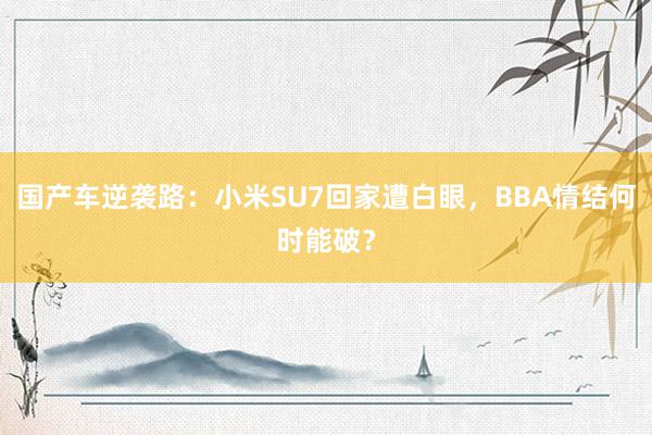 国产车逆袭路：小米SU7回家遭白眼，BBA情结何时能破？