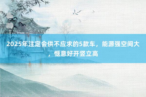 2025年注定会供不应求的5款车，能源强空间大，惬意好开竖立高